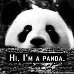Sonja Todorovic - @pandaaa_399 - Instagram