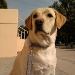 Sonja Todorović - Facebook