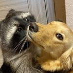 Sonja Todorovic - @todor_2404 - Instagram