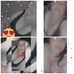 Sonia Torres - Facebook