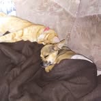 Sonja Vance - Facebook