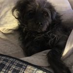 Sonja waller - @sonjawaller8 - Instagram
