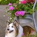 Sonja Wang - Facebook
