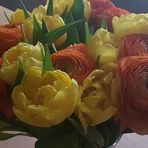 Sonja Wanner Meier - Facebook