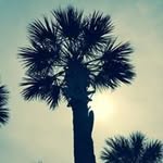 Sonja Wayne Ott - @wsott210 - Instagram