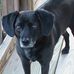 Sonja Webster - Facebook