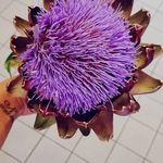 Sonja Weidemann - @weidemann.sonja - Instagram