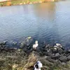 Sonja - @sonjaweiss7 - TikTok