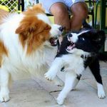 Sonja Weiss - @sonja.weiss.372 - Instagram