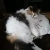 sonjawelsch4 - @sonjawelsch4 - TikTok