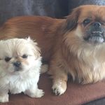 Sonja Werner - @sonjawerner5655 - Instagram