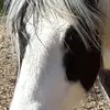 Sonja Werner - @sonja.werner - TikTok