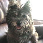 Sonja House Whitten - @housewhitten - Instagram