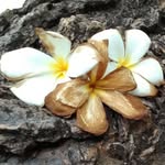 Sonja Bowman Wilkinson - @sonja_wilkinson3 - Instagram