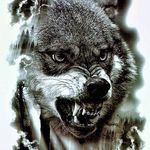 Sonja Wolf - @sonja.wolf.7777 - Instagram