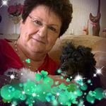 Sonja Wolf - @sonjawolf7372 - Instagram