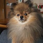 Sonja Wolf - @sonjawolf2289 - Instagram