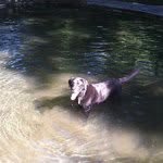 @sonjabranch - Instagram