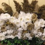 Sonji Hillian - @sonjihillian - Instagram
