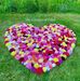 Sonjoy Das - Facebook