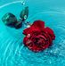 Sonjoy Das - Facebook