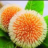 Sonjoydas3648..🇧🇩,,🇮🇳🙋🌹 - @sonjoydas3648 - TikTok