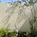 Sonmi  Kim - @sonmikim - Instagram
