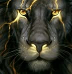 Sonny Archer - Facebook