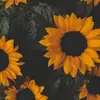 Sonny Barrientos - @vi.vi.viel - TikTok