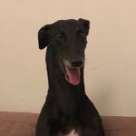 Sonny Berry-Chong - @sonny_berrychong - Instagram