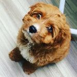Sonny Bond - @sonny_bond_ - Instagram