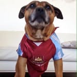 @sonnyburchell27 - Instagram