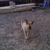 Sonny Carr - Facebook