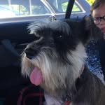 Sonny_C - @sonny._carter6 - Instagram