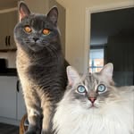 Casey & Sonny - @caseyandsonny - Instagram