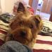 Sonny Casey - Facebook