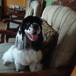 Sonny Castillo - @sonnycastillo46 - Instagram