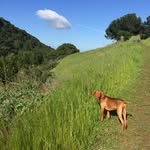 Sonny Chen Cruz - @sonnychencruz - Instagram