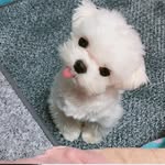 sunnyzfk - @sonny_cherry1009 - Instagram