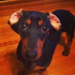 Sonny Clark - @sonnybun - Instagram