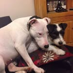 Sonny Franzeze Clarke - @sonny.clarke - Instagram