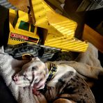 Sonny Clay - Facebook