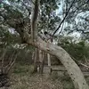 Sonny Clements - @sonny.clements72 - TikTok