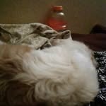 Sonny Cook - @sonny.cook.5648 - Instagram