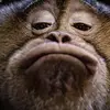 Sonny Cook - @sonny.cook0 - TikTok