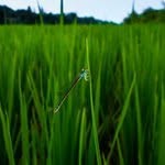 Sonny Cooper - @sonnycooper - Instagram
