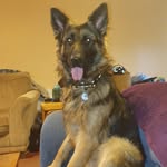 sonny cox - @s.onny13645 - Instagram
