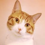 Gina - @sonnycrafternoon - Instagram