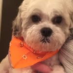 Sonny Davidson - @sonny_2078 - Instagram