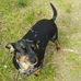 Sonny Denton - Facebook